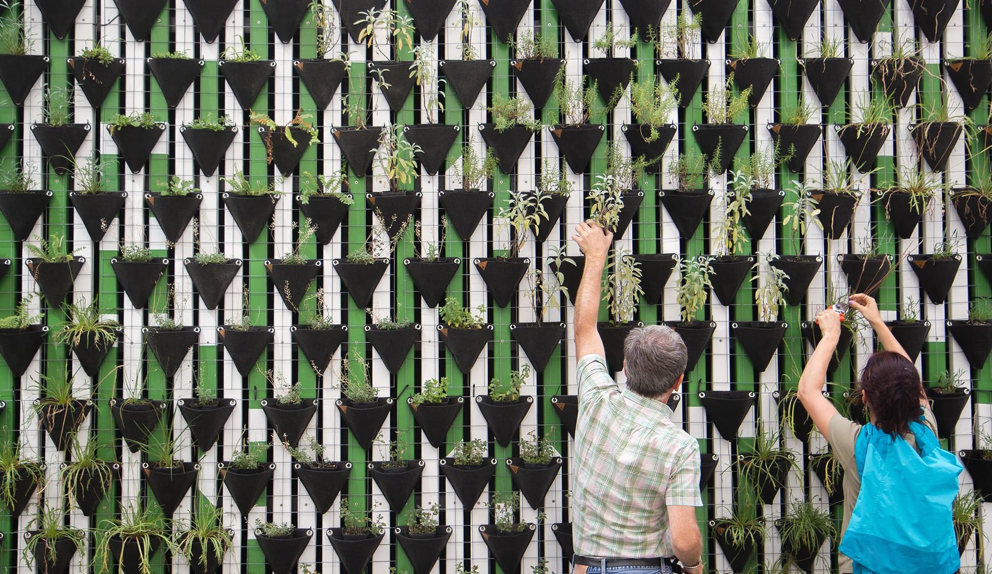 Vertical garden wall with rows of black triangular planters on green and white panels; two individuals tend plants on the right.